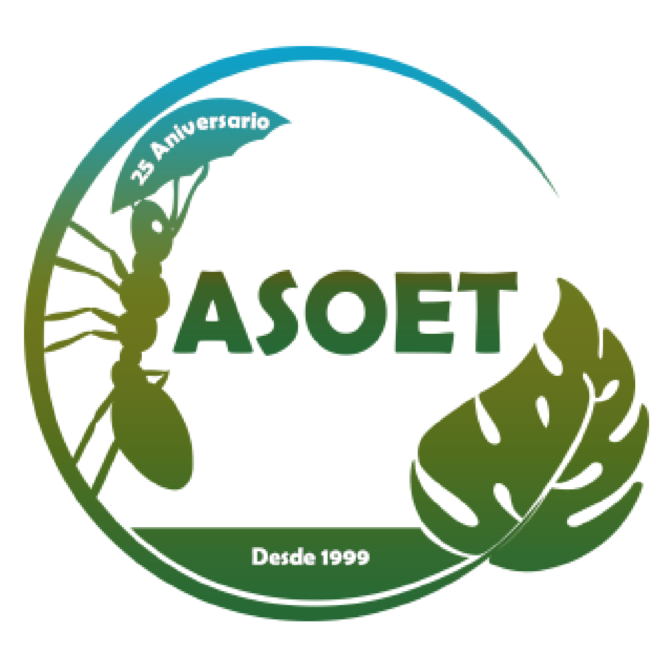 ASOET